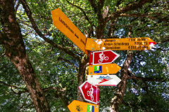 Jungfrau-Marathon_2015-12