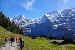 Jungfrau-Marathon_2015-18