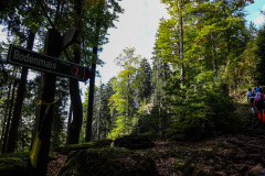ARBERLAND-113