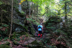 ARBERLAND-36