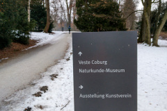 Wintermarathon-Coburg-15