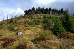 ARBERLAND-2018-42