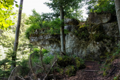 Frankenweglauf_2018-20