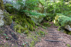 Frankenweglauf_2018-21