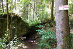 Frankenweglauf_2018-25