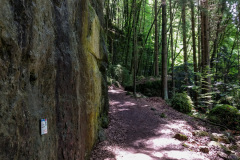 Frankenweglauf_2018-26