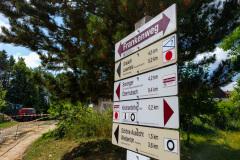 Frankenweglauf_2018-29