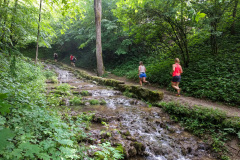 Frankenweglauf_2018-4