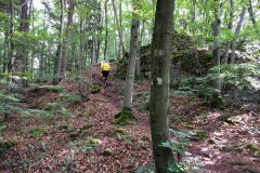 Frankenweglauf_2018-5