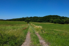 ThueringenULTRA-24