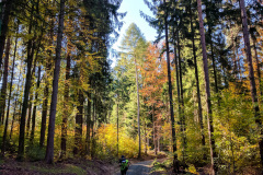 2017_Trails4Germany-4