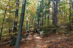 2018_Trails4Germany-2