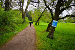 Bauhaus-Marathon_2019-11