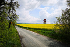 Bauhaus-Marathon_2019-14