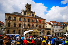 Bauhaus-Marathon_2019-18