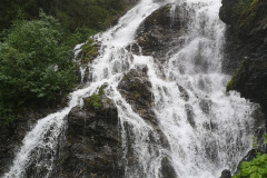 PSX_20190728_105220-1