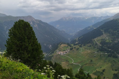 PSX_20190728_110000-1