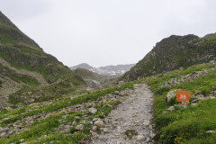 PSX_20190728_110350-1