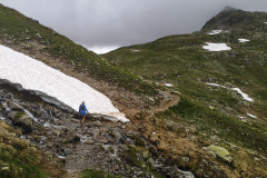 PSX_20190728_110834-1