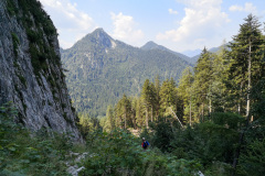 Chiemgauer100-40