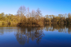 Marathon-April-2020-1