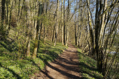 Marathon-April-2020-10