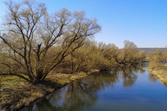 Marathon-April-2020-12