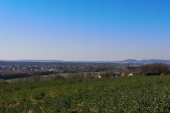 Marathon-April-2020-15