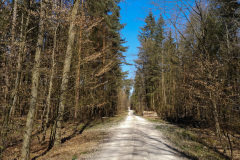 Marathon-April-2020-19