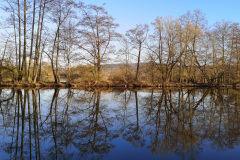 Marathon-April-2020-3