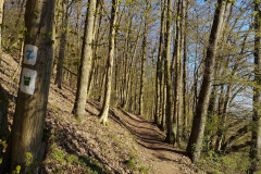 Marathon-April-2020-7