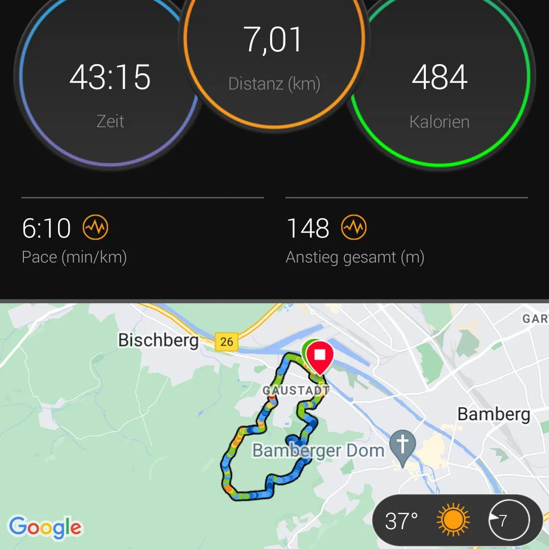 Im Wald war es trotz der Hitze OK zu laufen. Nicht ewig lang und etwas langsamer, aber ging... 

#laufen #laufengehtimmer #running #run #garminrunning #bamberg #wald #dport #training #trailrunning