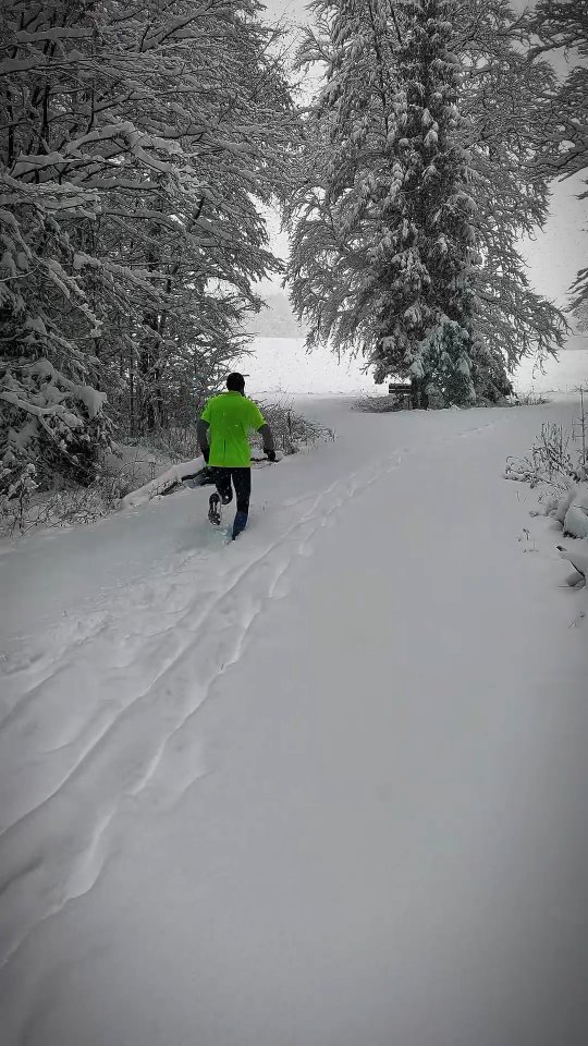 Laufen bei 20 cm Schnee ist schön, aber anstrengend. Eine kurze Pause tut dann gut 😁

#running #winterlauf #laufenimschnee #bamberg #laufen #runnerslife #run #training #sport #winter #schnee #soundmindsoundbody #asicsfrontrunner2026
@asicsfrontrunner